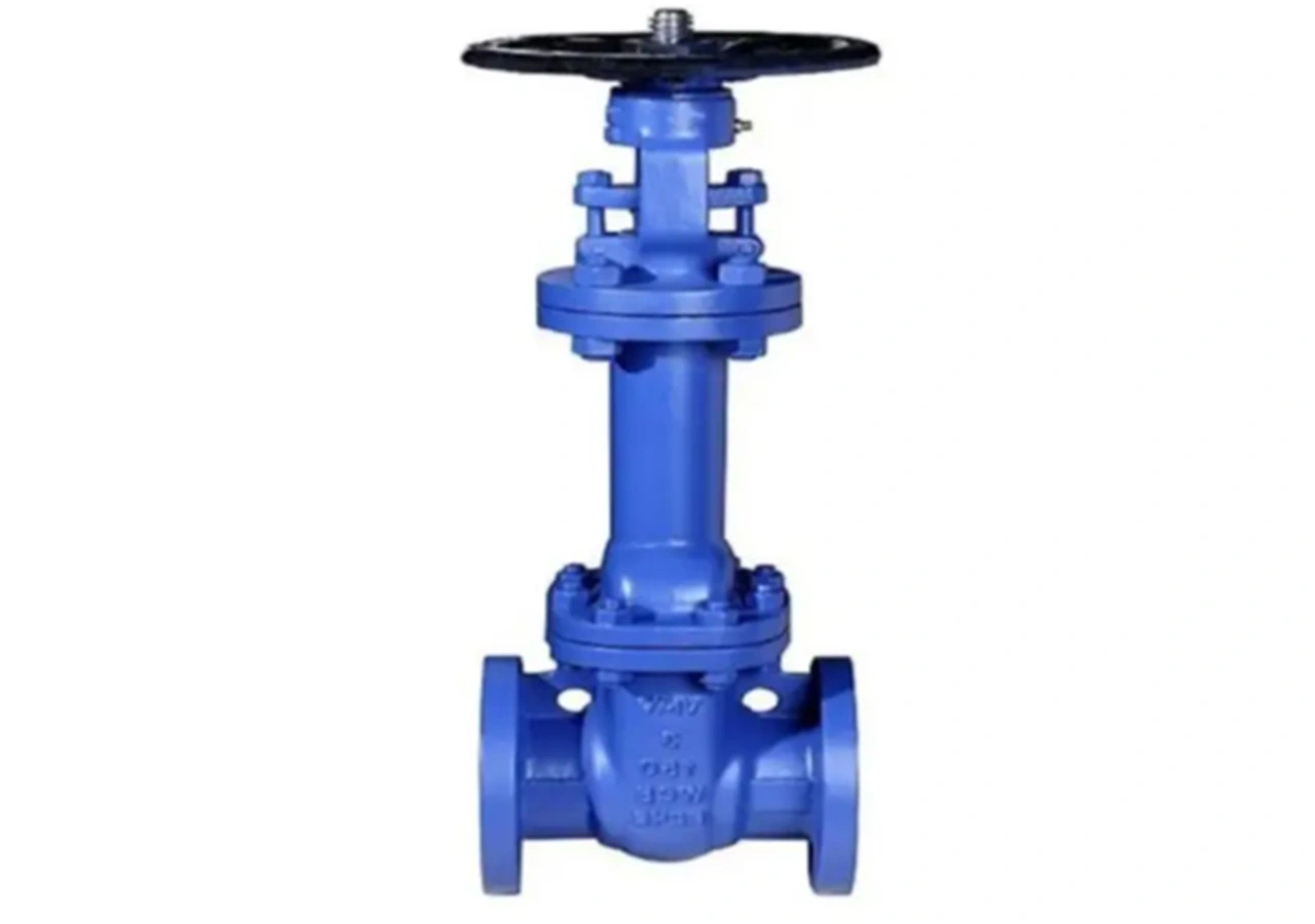 bellow-wedge-gate-valve-pipe