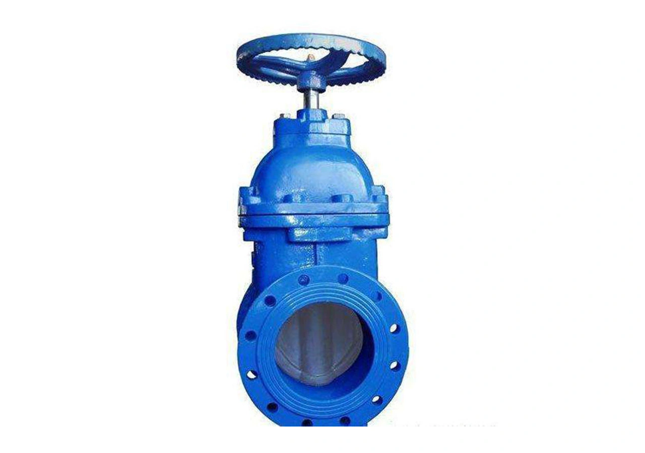 big-size-resilient-gate-valve-manufacturer