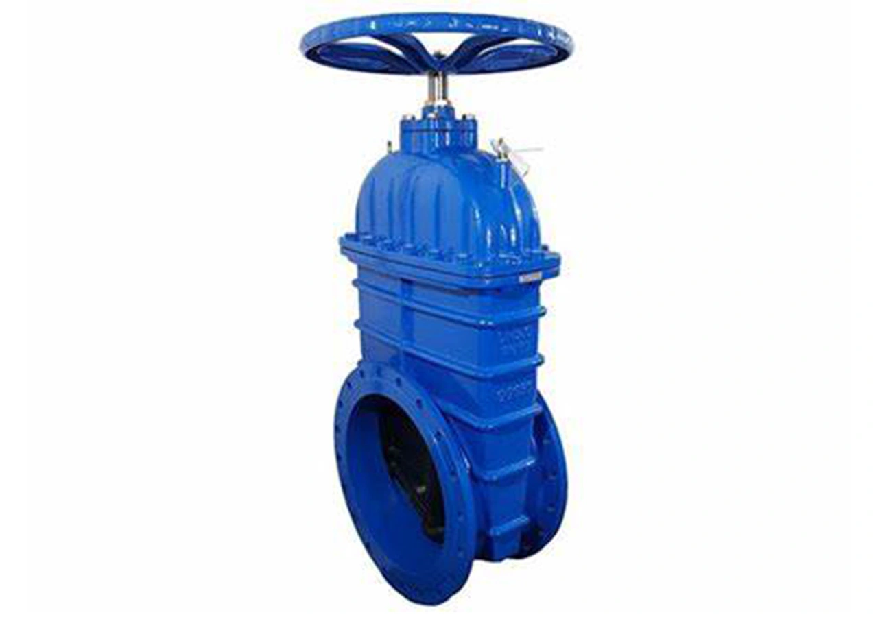 big-size-resilient-gate-valve