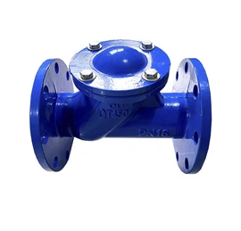 Check Valve