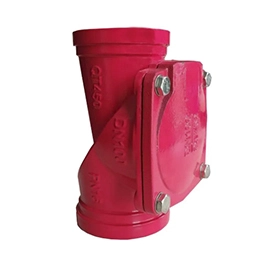 Groove Check Valve