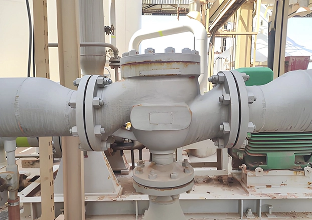 Check Valve