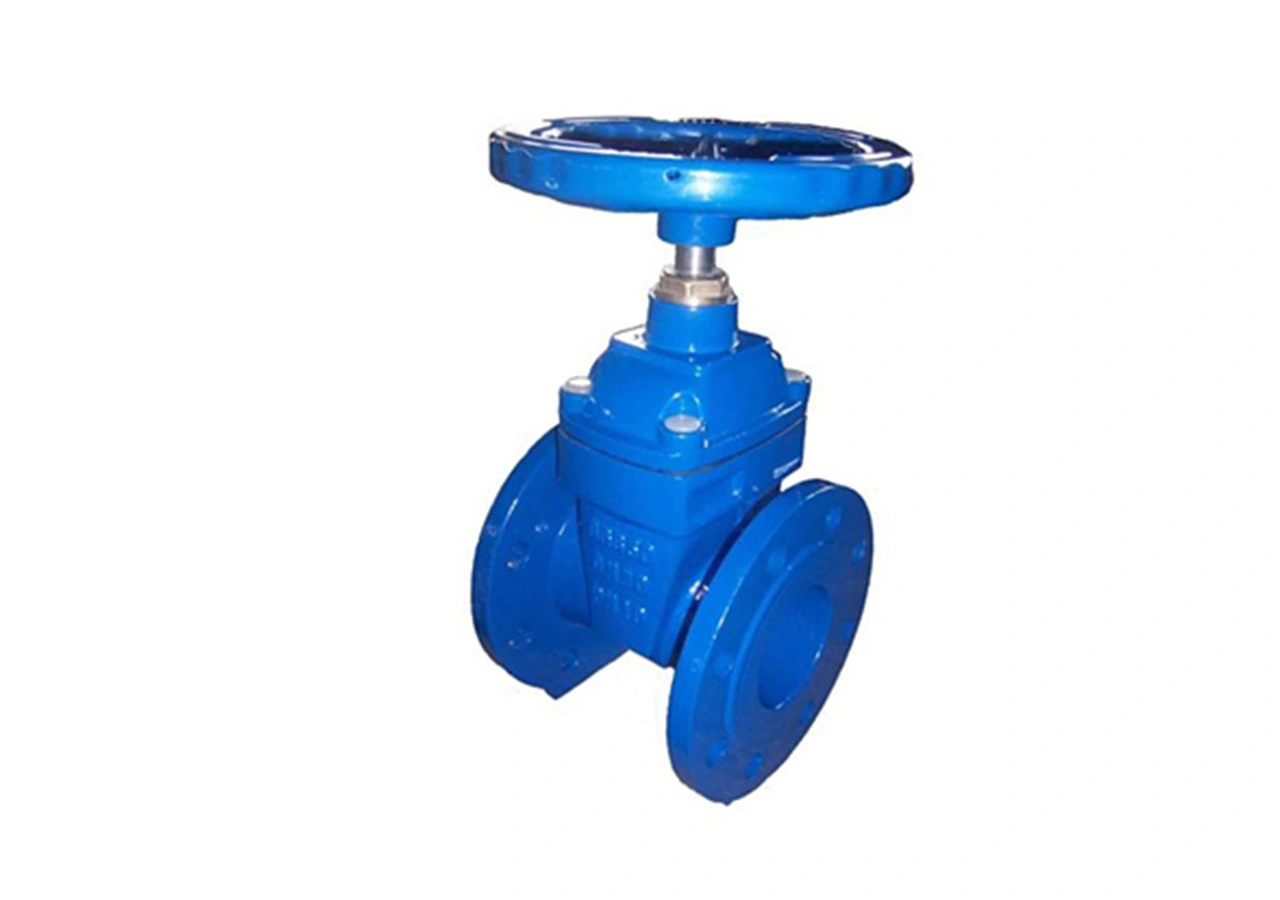 resilient-seated-gate-valve-supplier