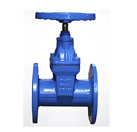 Resilient Seated Gate Valve