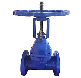 Rising Stem Gate Valve