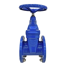 Soft Seal Gate Valve