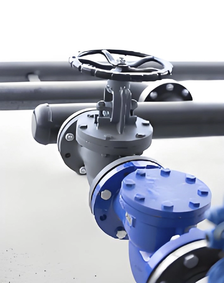 Types of Check Valves