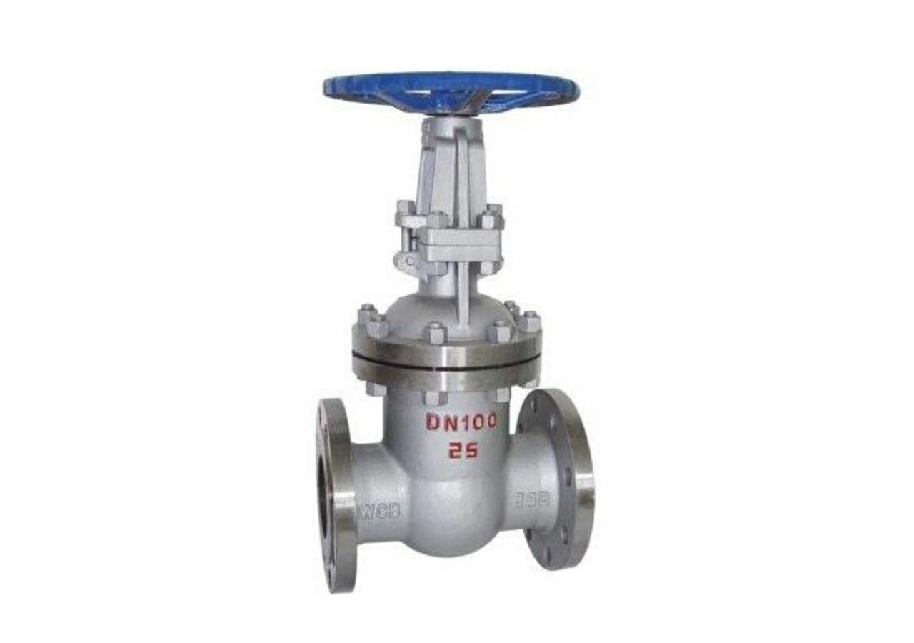 wedge-rubber-gate-valve-1