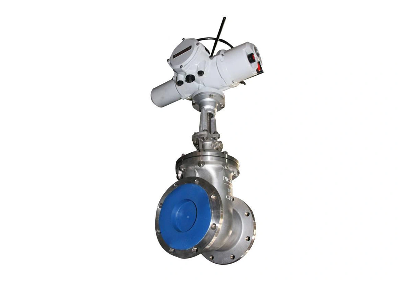 wedge-rubber-gate-valve-company