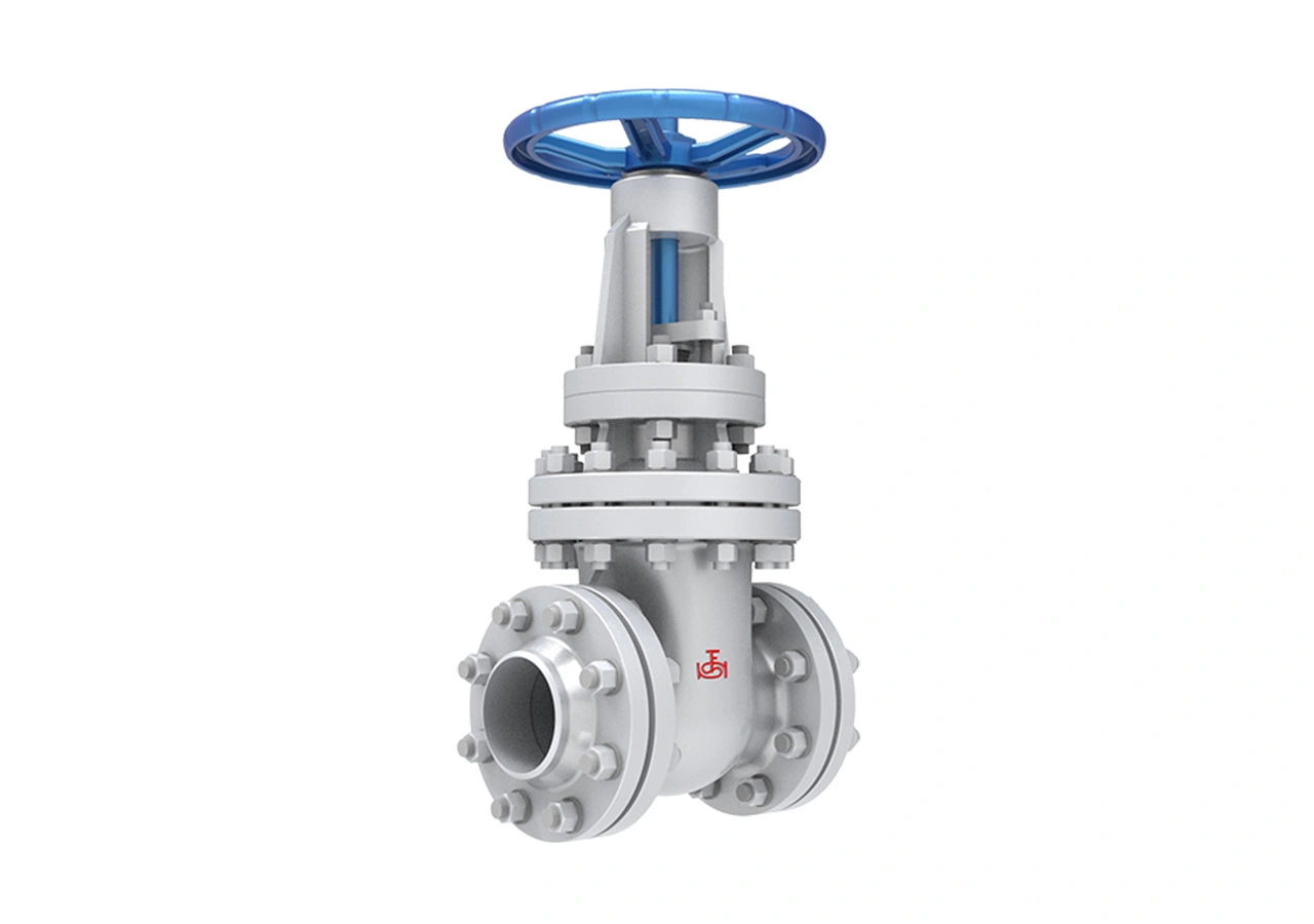 wedge-rubber-gate-valve-supplier