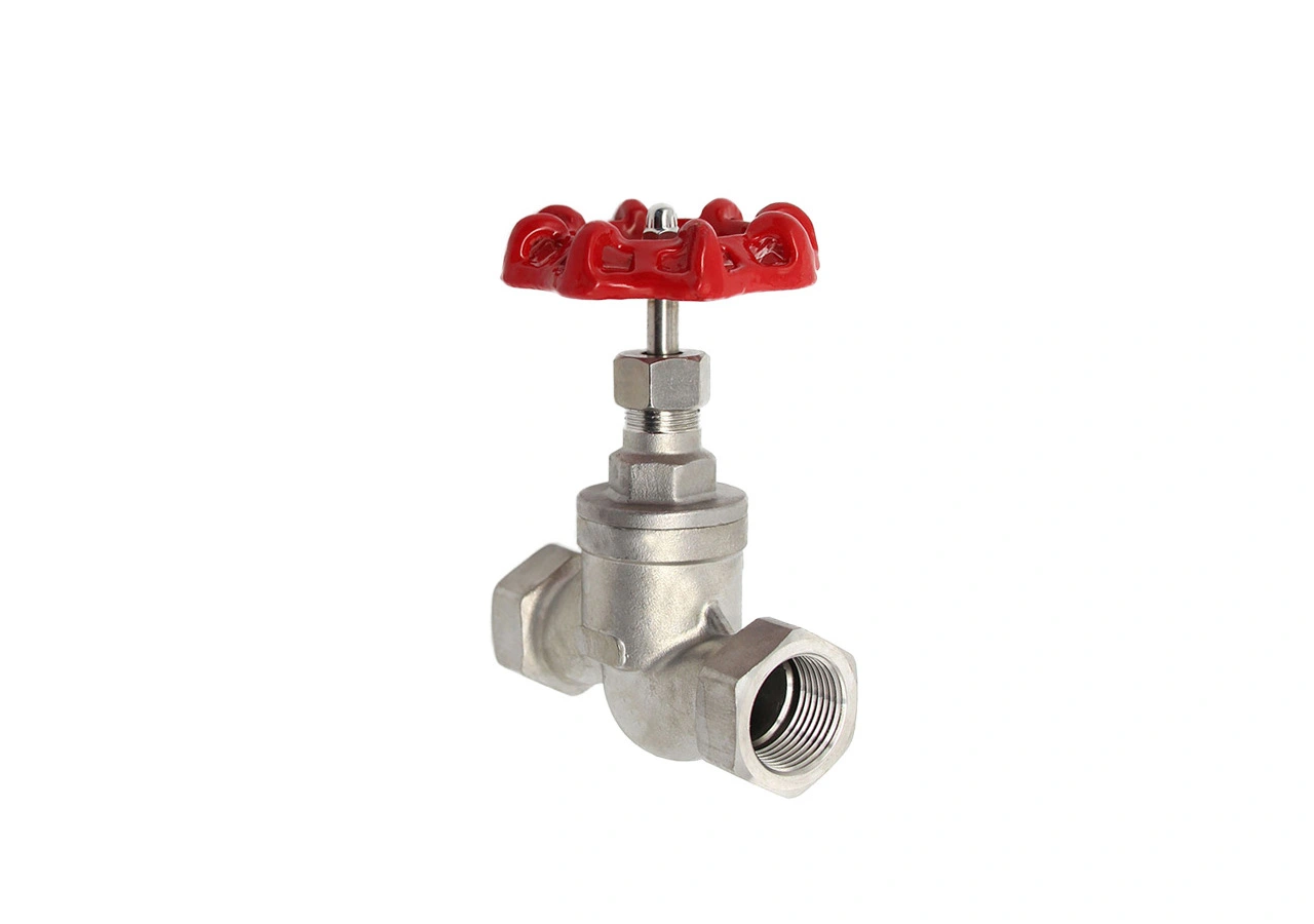 female-globe-valve-supplier